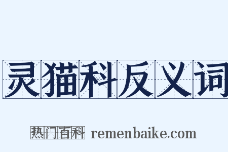 灵猫科反义词是什么意思的图片